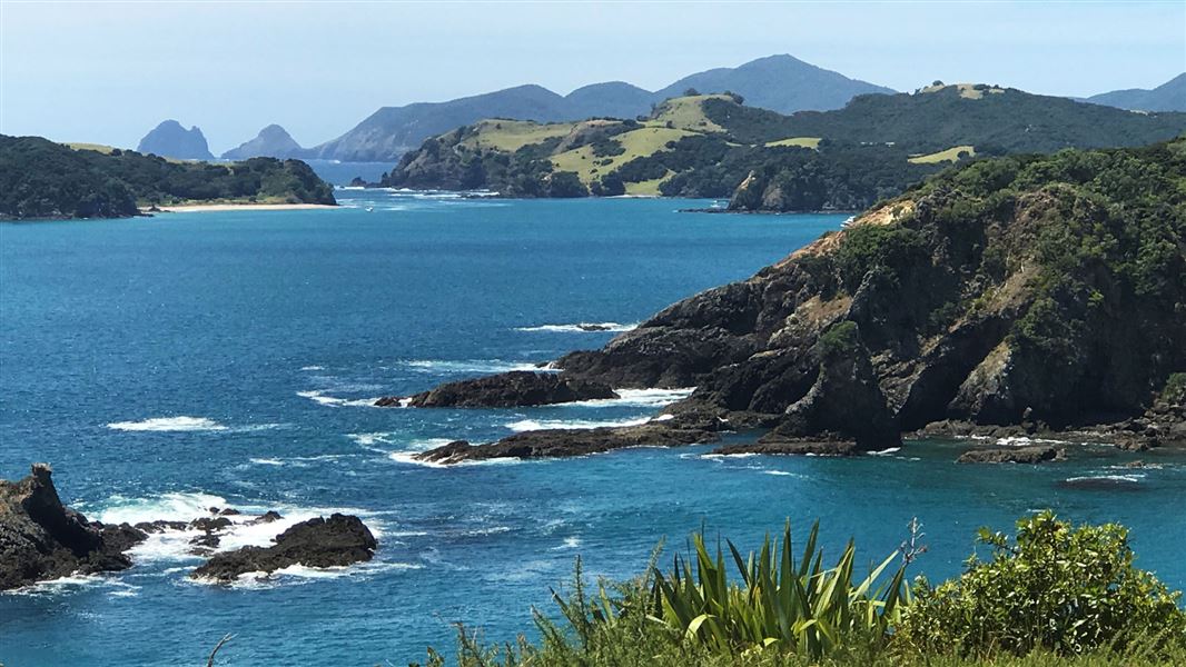 Moturua Island Track