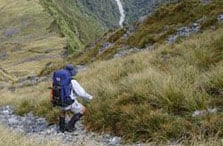 Mount Adams Route