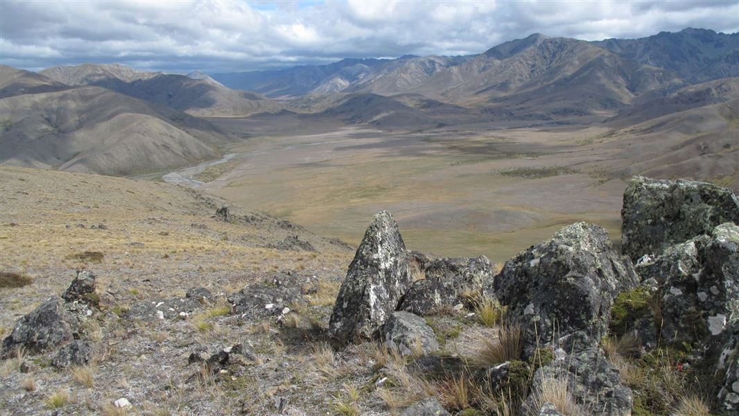 Mount Augarde Track, walk in Marlborough