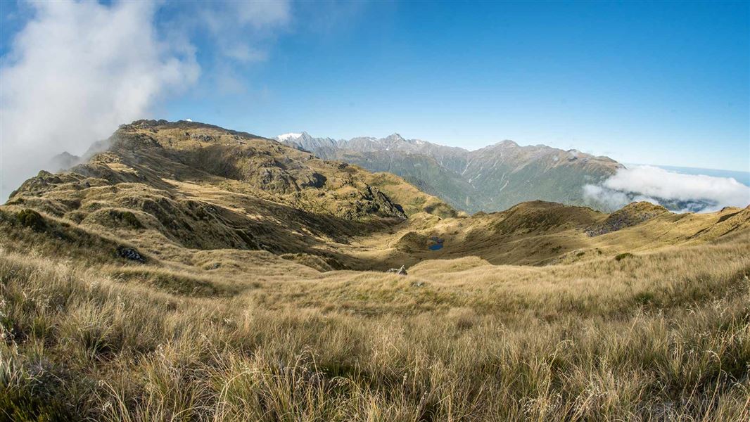 Mount Fox Route, walk in West Coast