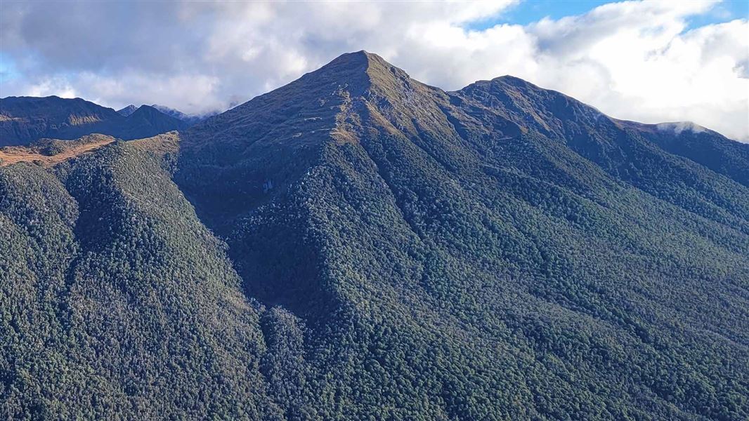 Mount Haast Route