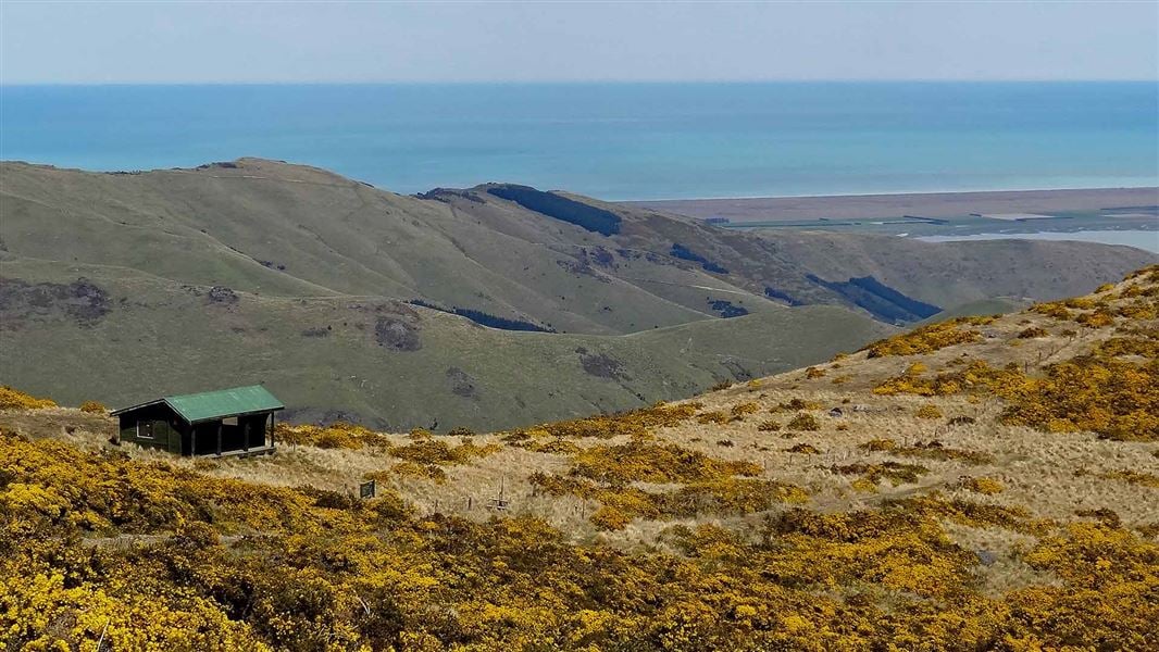 Mount Herbert Walkway/Te Ahu Pātiki