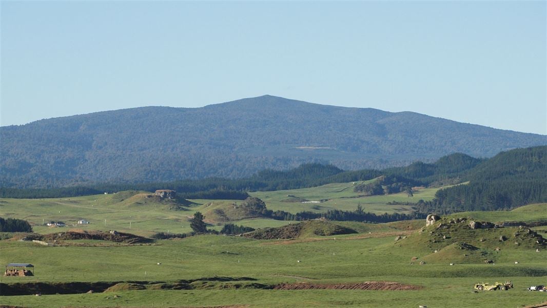 Mount Pureora via Toitoi Track