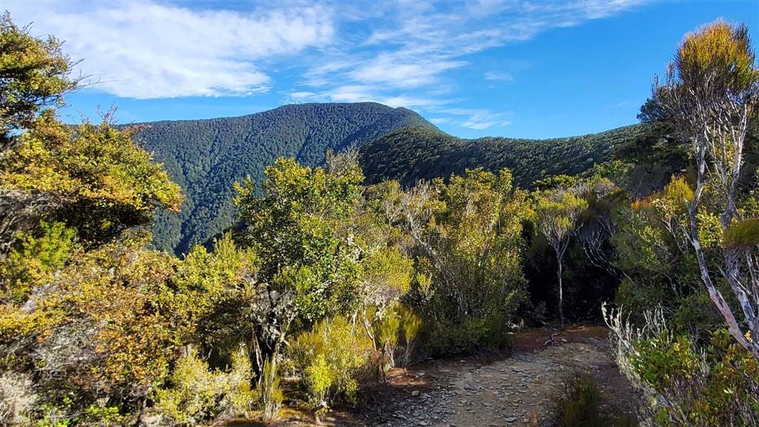 Mount Robertson tracks