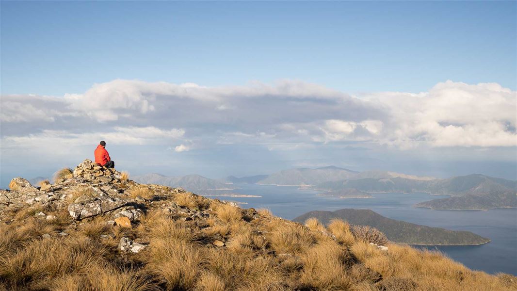 Mount Stokes Track