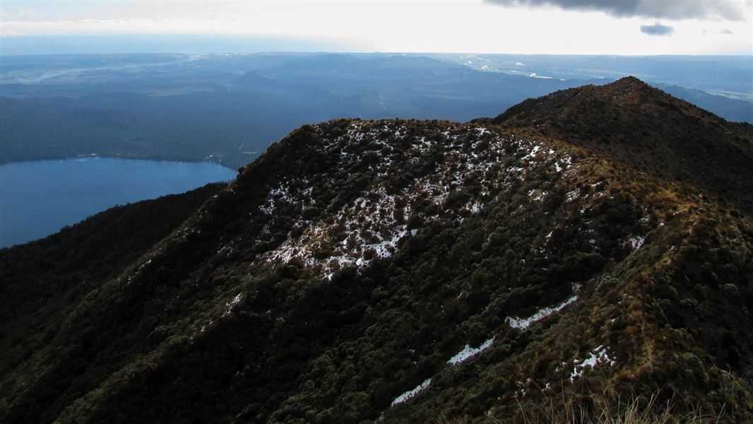 Mount Tuhua Track