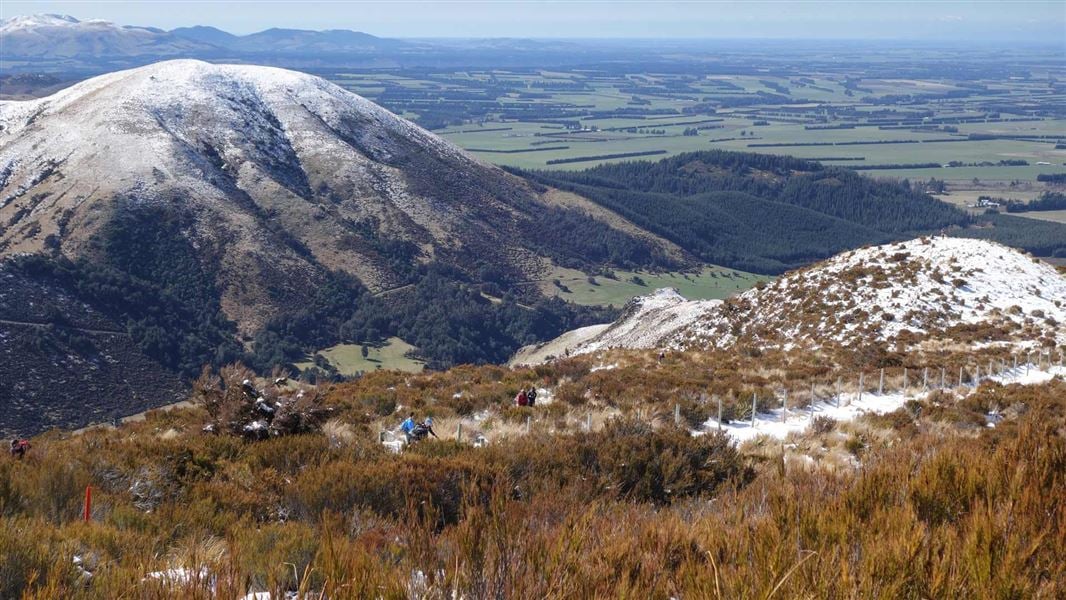 Mt Alford Track, walk in Canterbury