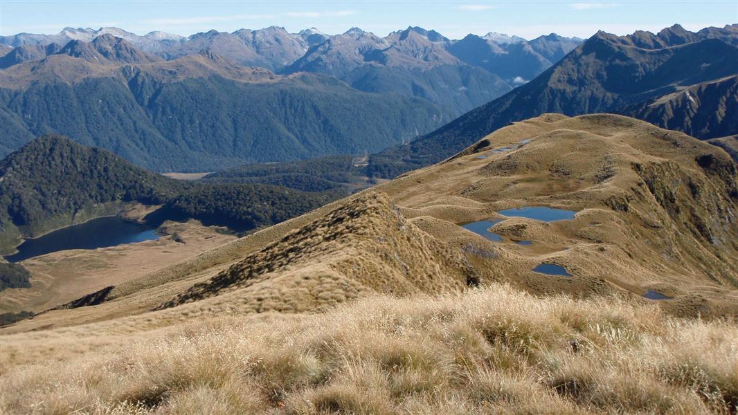 Mt Burns Tarns Track