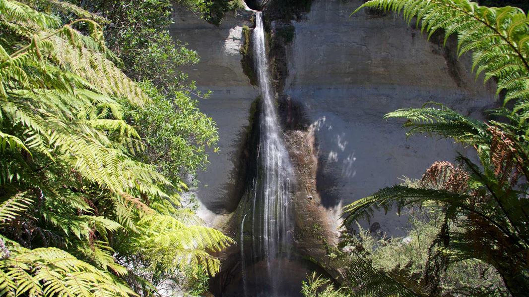 Mount Damper Falls Walk