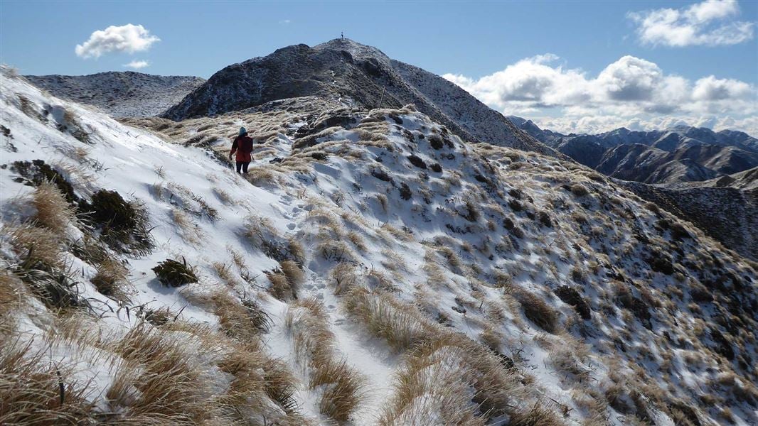 Mt Holdsworth - Jumbo Circuit