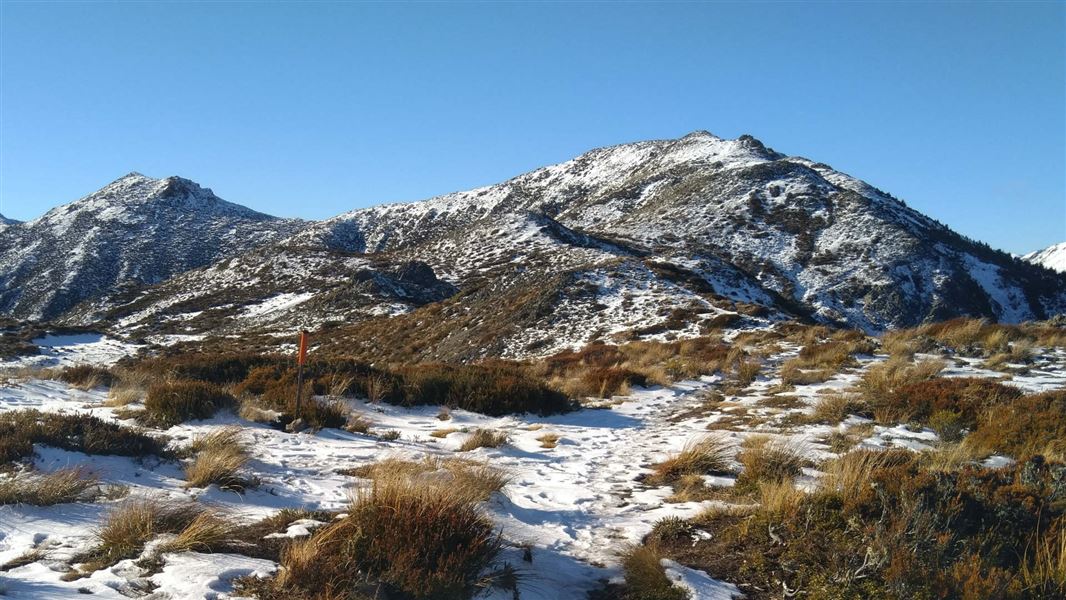 Mt Isobel Track