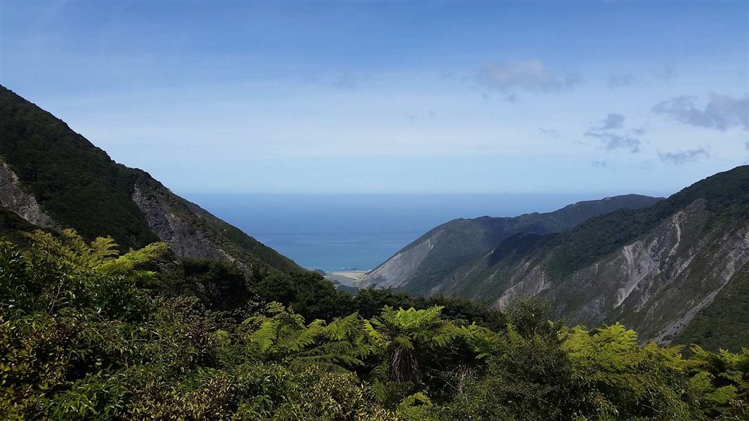 Mt Matthews