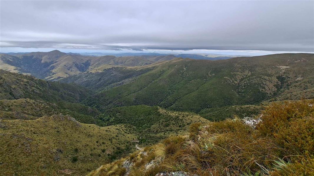 Mt Miserable Conical Peak Route