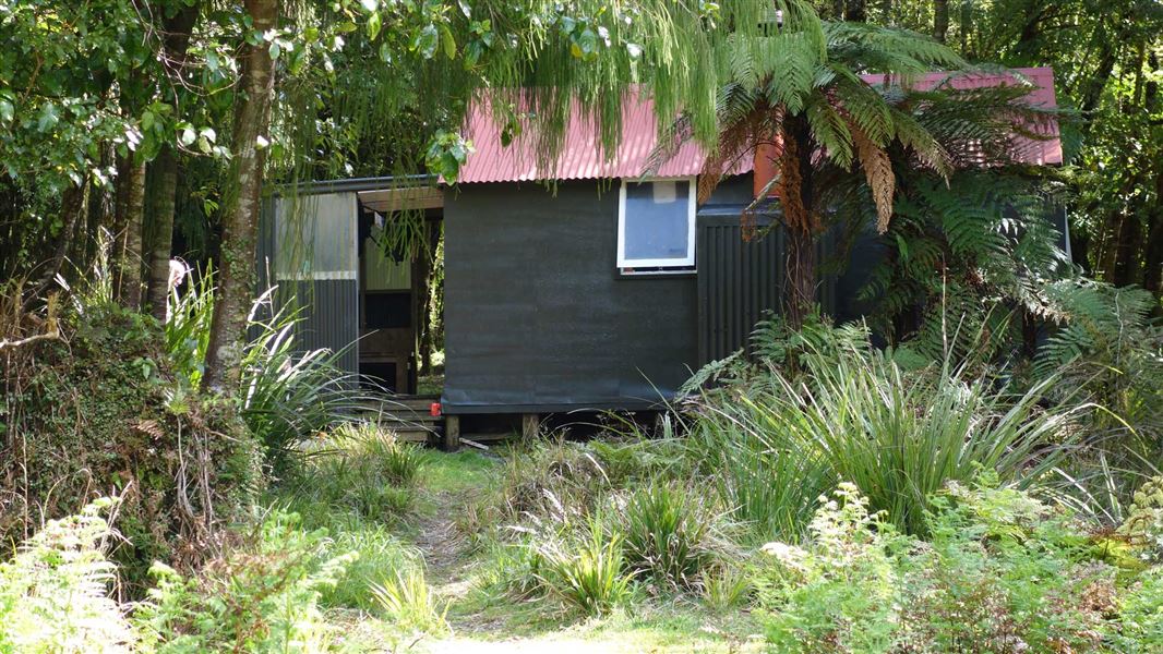 Neill Forks Hut, hut in Wellington