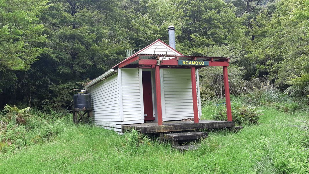 Ngamoko Hut, hut in Manawatū-Whanganui