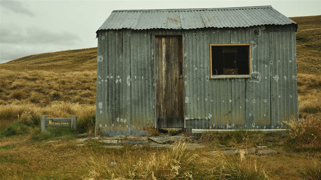 Nicholsons Hut, hut in Otago