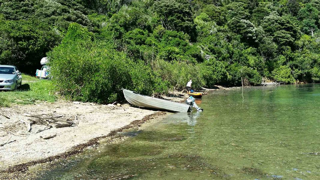 Nikau Cove Campsite, campsite in Marlborough