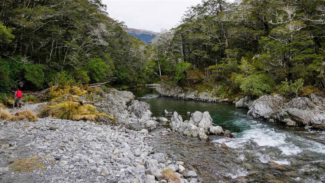 Nina Valley Track