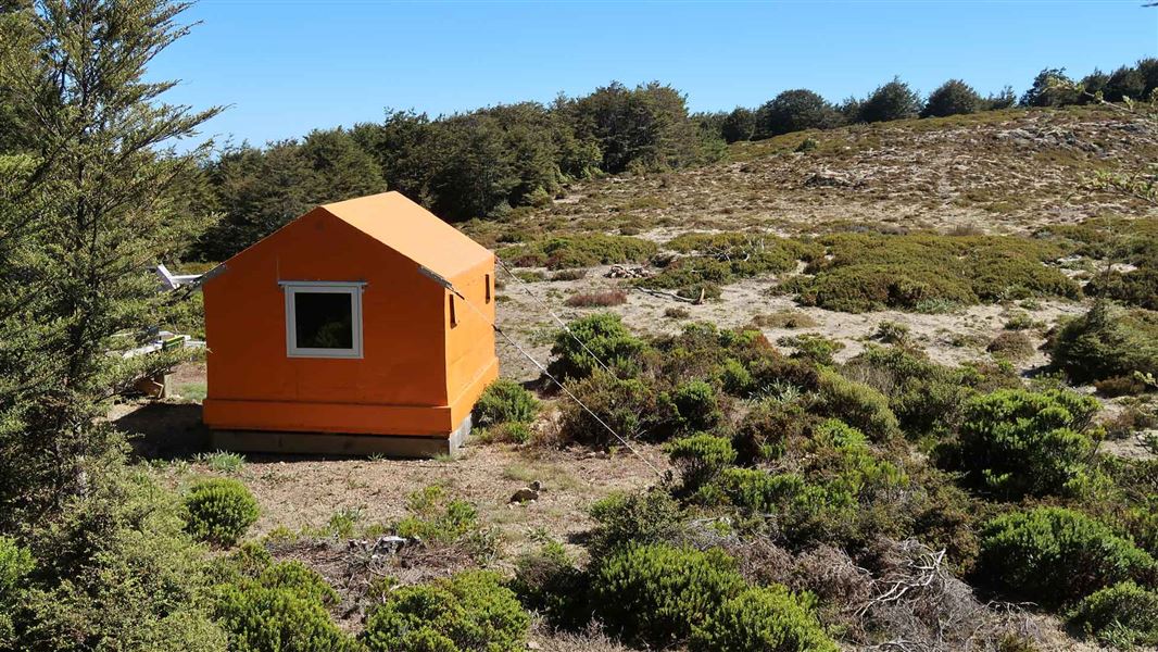 North Whetu Bivvy, hut in Hawke's Bay