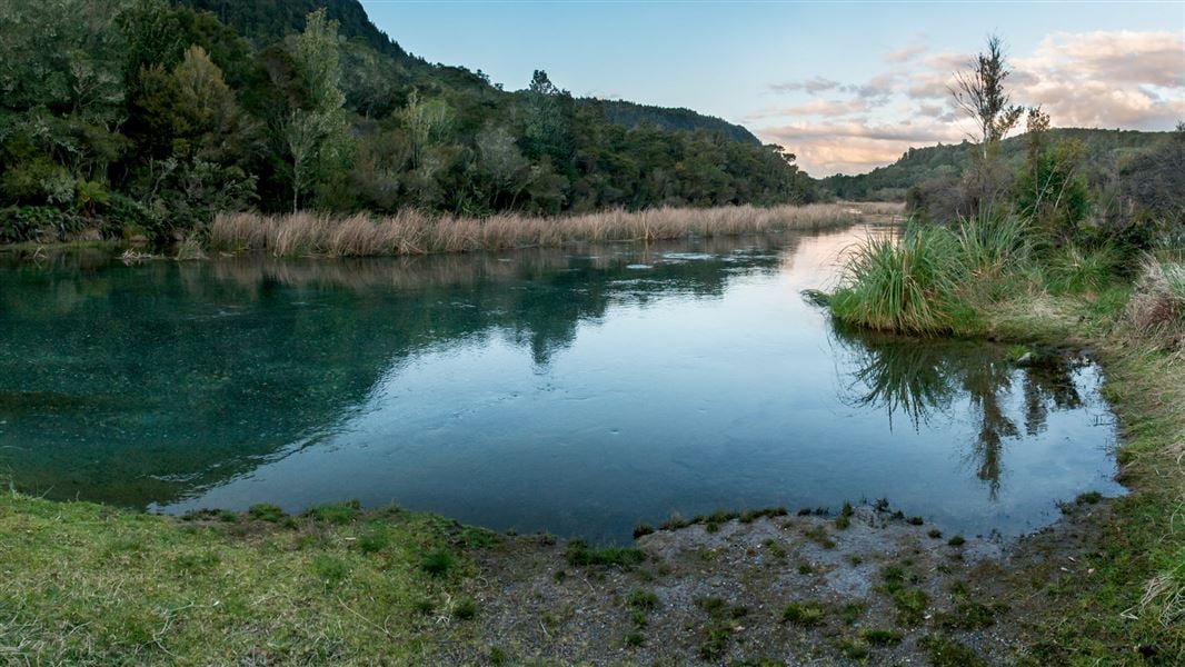 Northern Tarawera Track