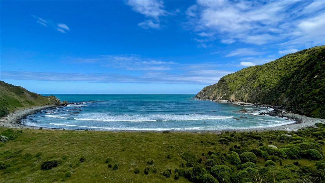 Nugget Point/Tokata walks