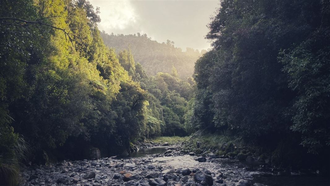 Ohau Gorge Track