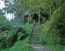 Ohauora Campsite, campsite in Manawatū-Whanganui