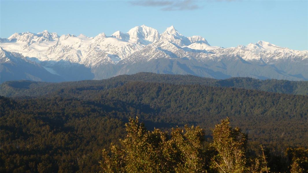 Ōkārito Trig Walk