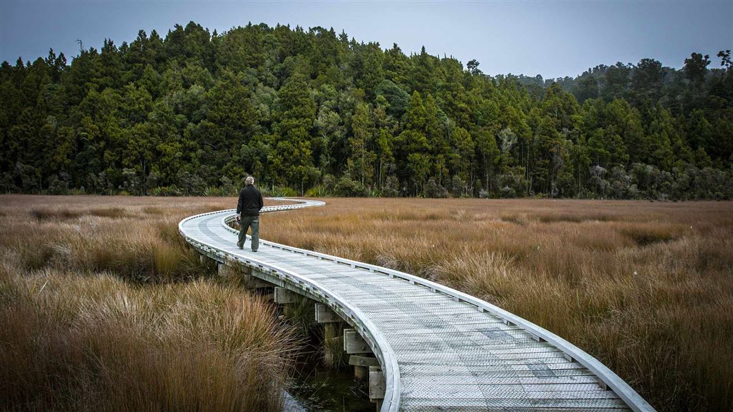 Ōkārito Wetland Walk