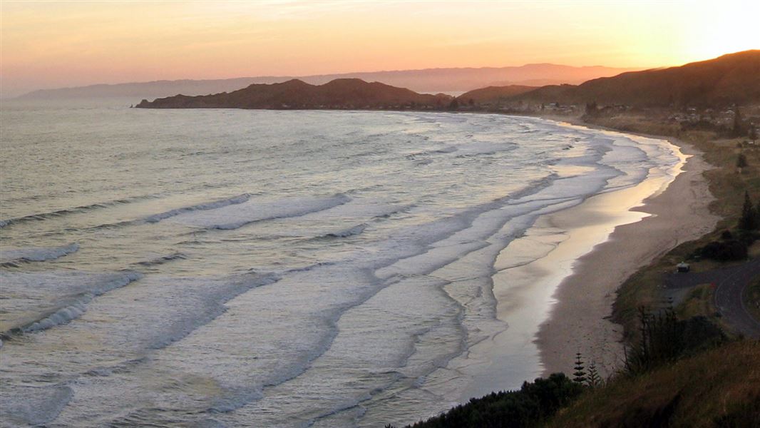 Okitu Bush Scenic Reserve Walk, walk in Gisborne