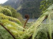 Old Doubtful Sound Track