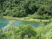 Old Māori Trail