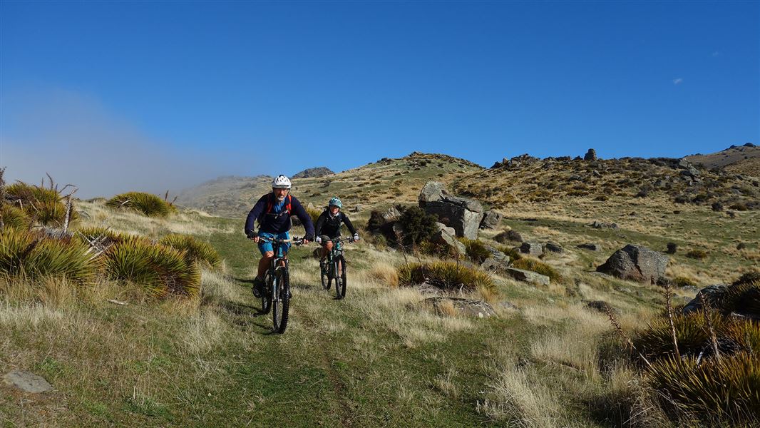 Omeo Gully Track