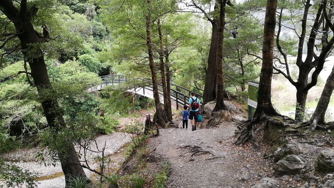 Ōrongorongo Track