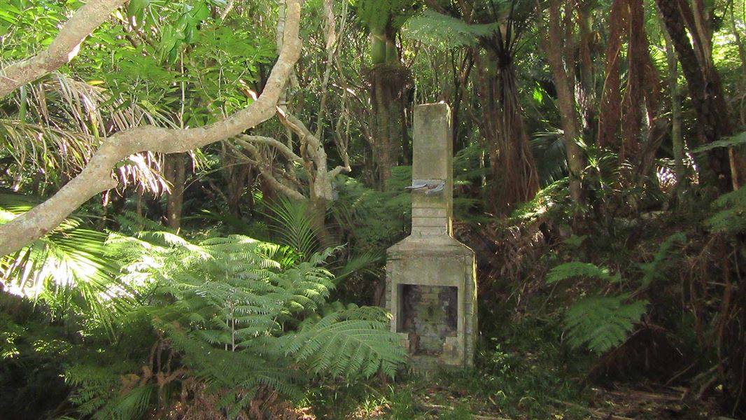 Ōruawairua Track, walk in Marlborough