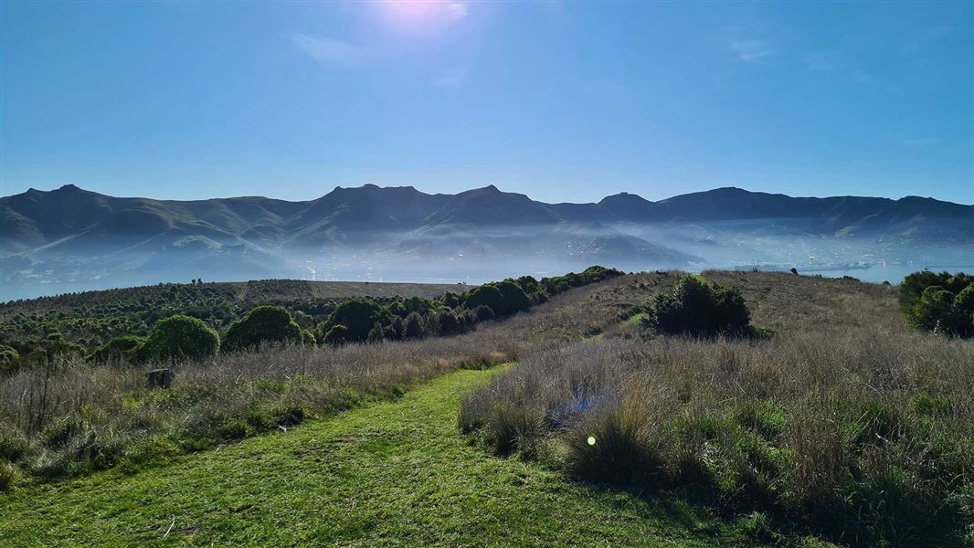 Ōtamahua/Quail Island tracks, walk in Canterbury