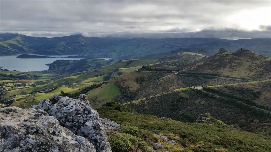 Ōtepatotu Scenic Reserve walk