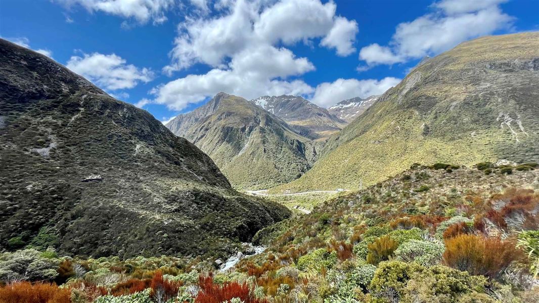 Otira Valley Track