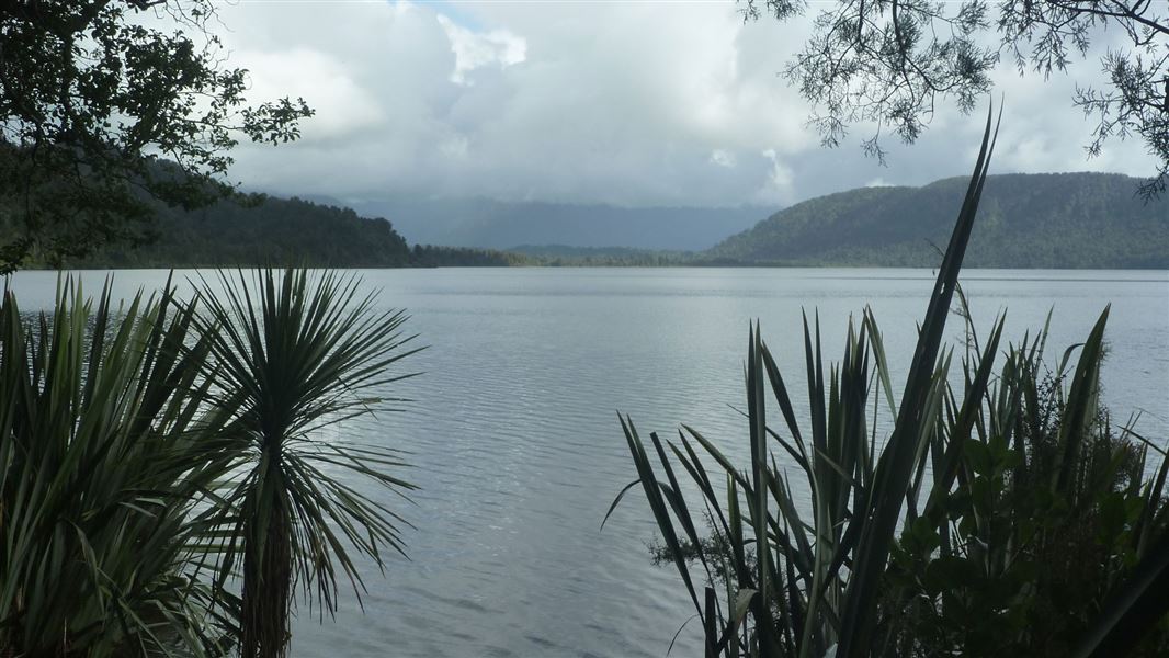 Otto/MacDonalds Campsite, campsite in West Coast