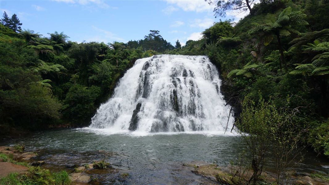 Owharoa Falls Track