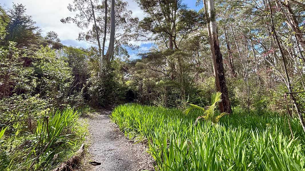Pā Road Walk