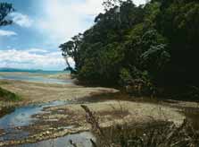 Papa Aroha Walk