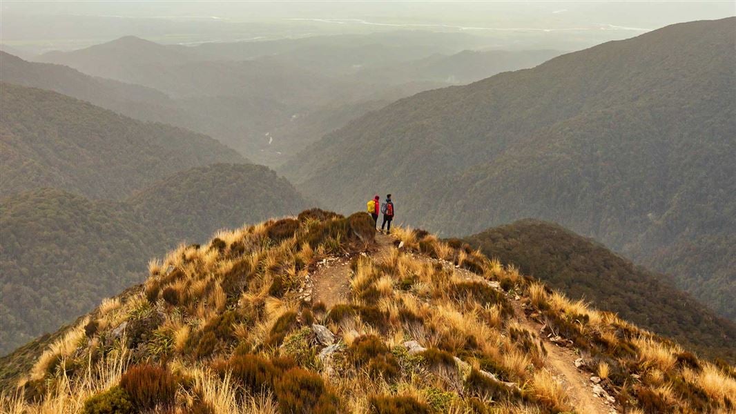Paparoa Track, walk in West Coast