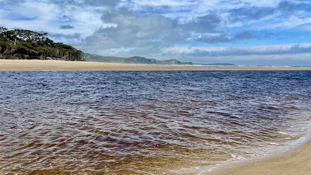Papatowai walks, walk in Otago
