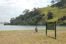 Pataua Island Track, walk in Northland