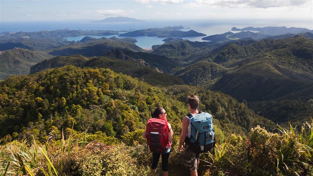 Peach Tree Track to Mt Hobson (Hirakimata)