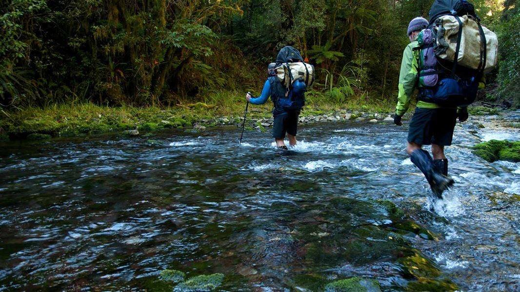 Pearse Valley Route to Pearse River Resurgence, walk in Tasman