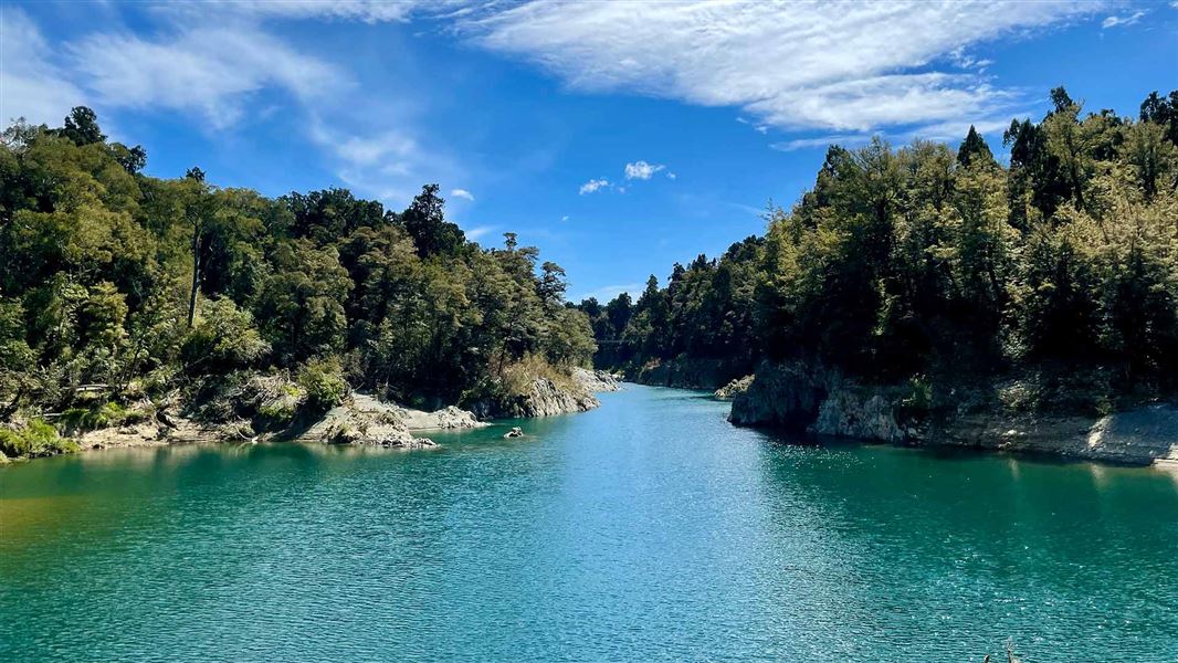 Tōtara Walk, walk in Marlborough