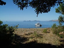 Penguin Bay Campsite, campsite in Marlborough