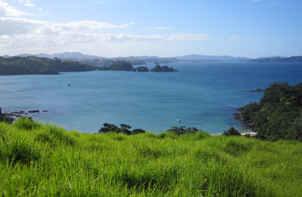 Peninsula Loop Walk, walk in Northland